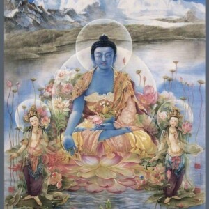 Bouddha medecine